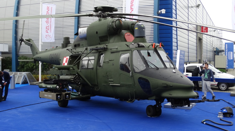 black hawk głuszec