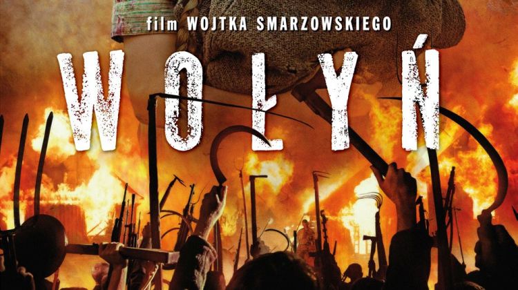 wołyń recenzja