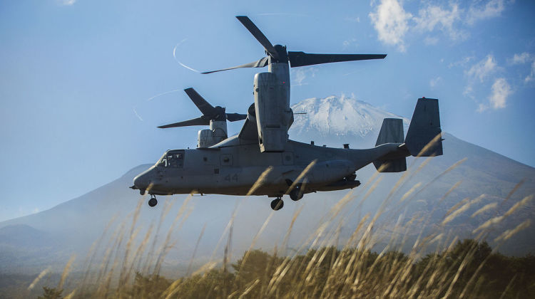 Osprey z klocków Lego wycofany ze sprzedaży