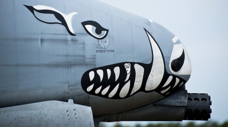 Nos A-10 z profilu