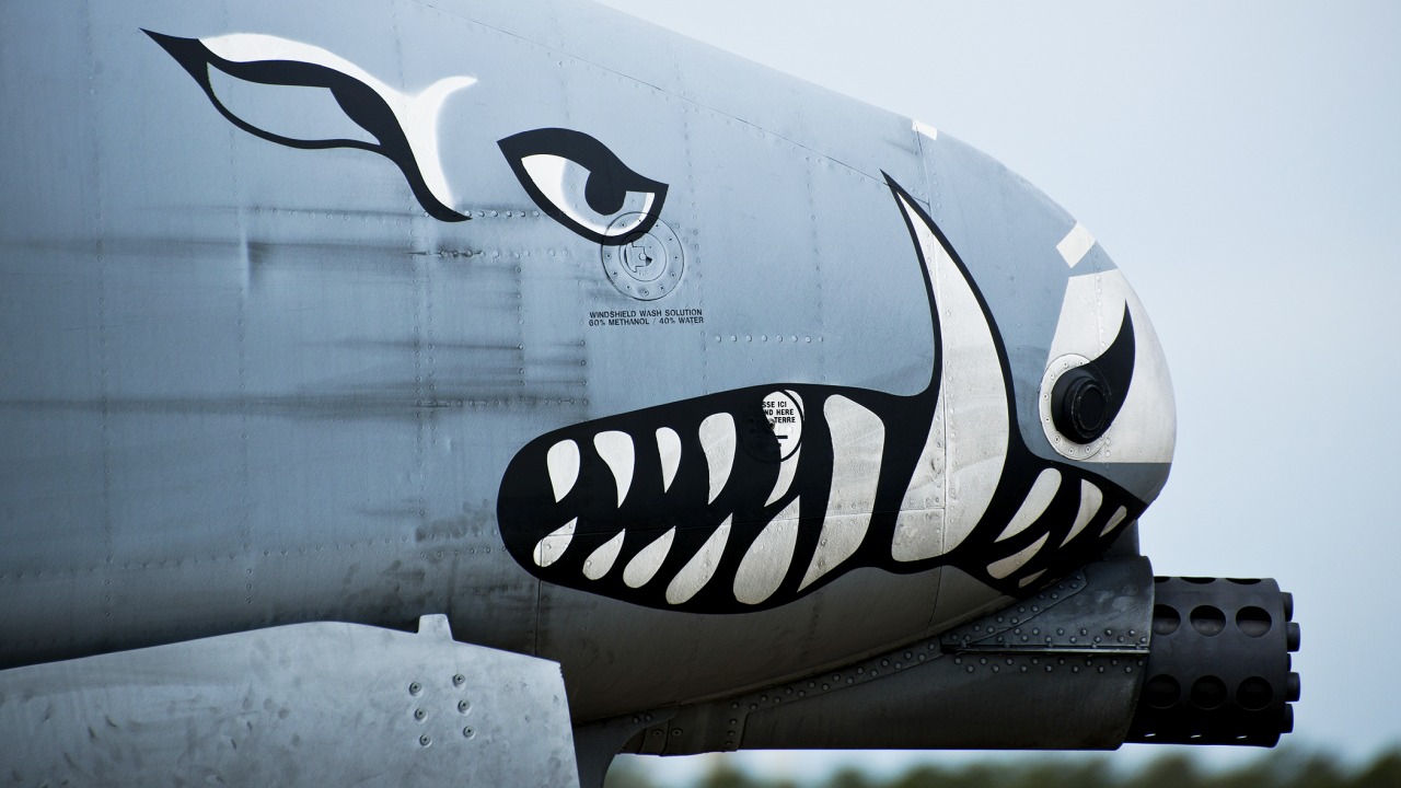 Found forum. A-10 Thunderbolt чертеж. A-10 Thunderbolt nose Art. Thunderbolt nose Art. A-10 Warthog nose Art.